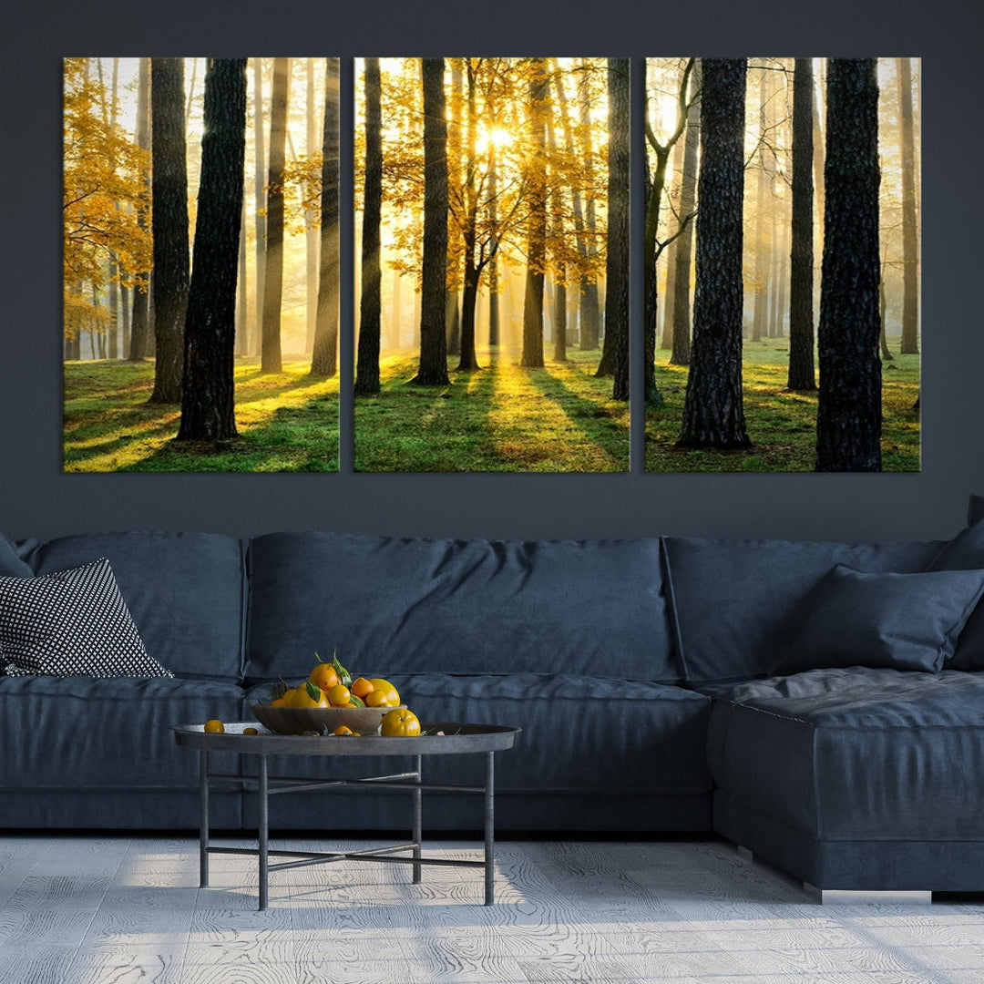 Bring the Sunshine & Beauty of a Forest with Large Trees to Your Home with Our Landscape Wall Art Canvas Print