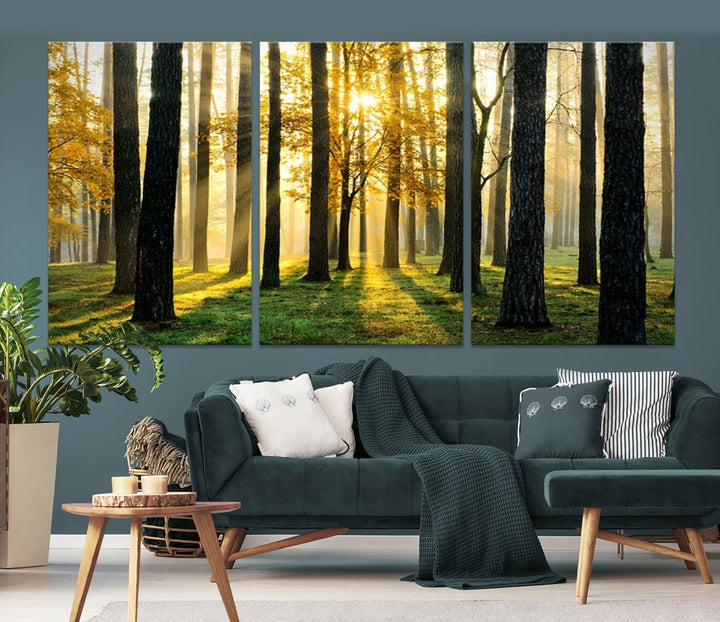 Bring the Sunshine & Beauty of a Forest with Large Trees to Your Home with Our Landscape Wall Art Canvas Print