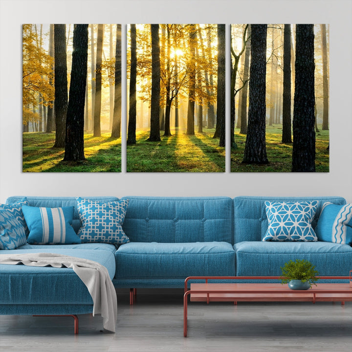 Bring the Sunshine & Beauty of a Forest with Large Trees to Your Home with Our Landscape Wall Art Canvas Print