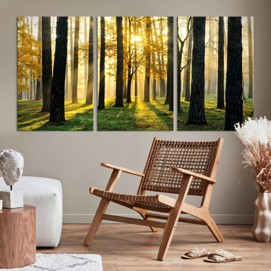 Bring the Sunshine & Beauty of a Forest with Large Trees to Your Home with Our Landscape Wall Art Canvas Print