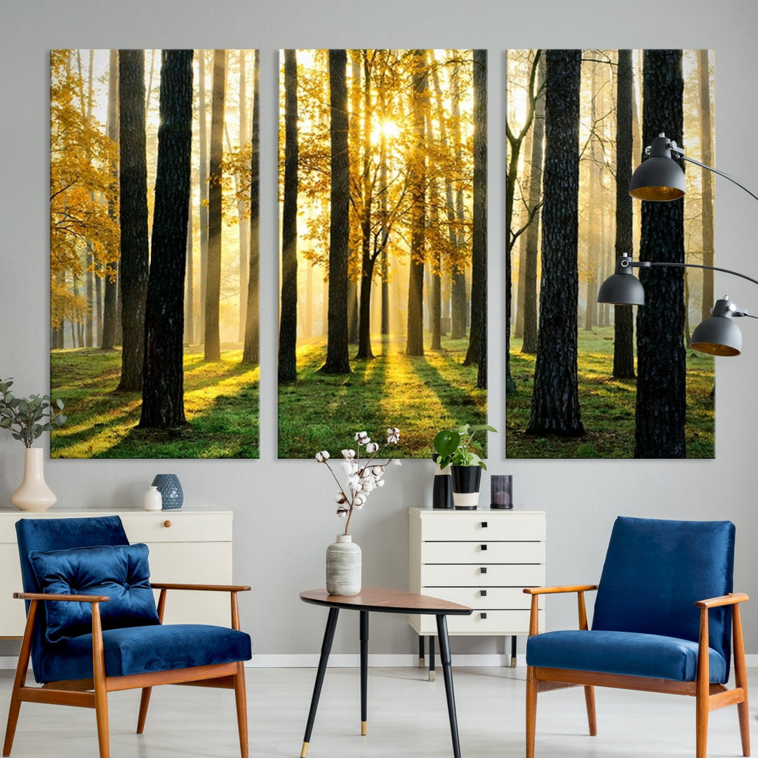 Bring the Sunshine & Beauty of a Forest with Large Trees to Your Home with Our Landscape Wall Art Canvas Print