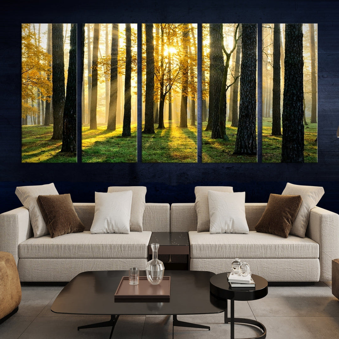 Bring the Sunshine & Beauty of a Forest with Large Trees to Your Home with Our Landscape Wall Art Canvas Print