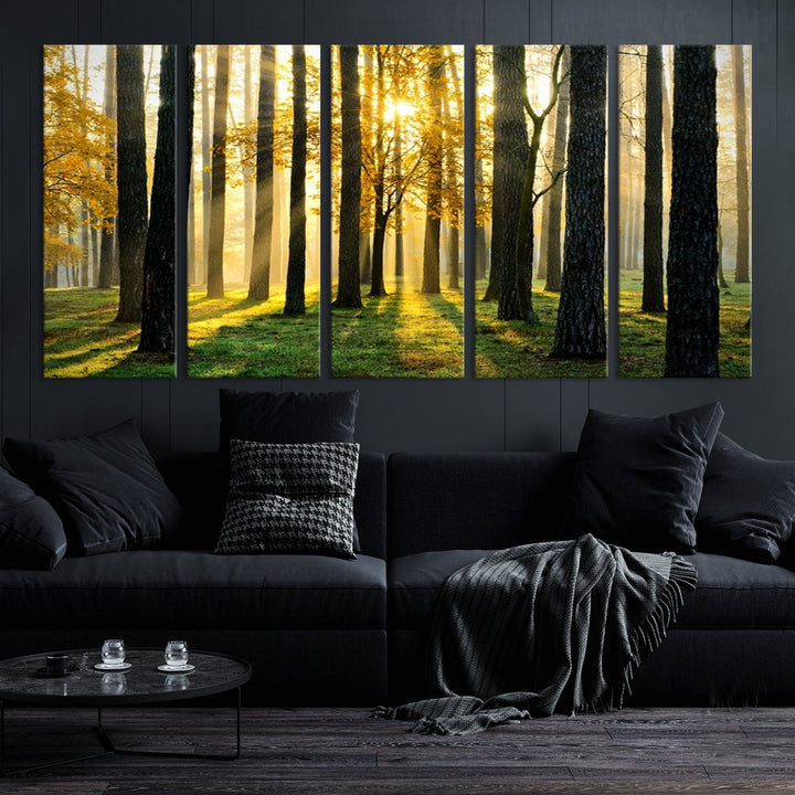 Bring the Sunshine & Beauty of a Forest with Large Trees to Your Home with Our Landscape Wall Art Canvas Print