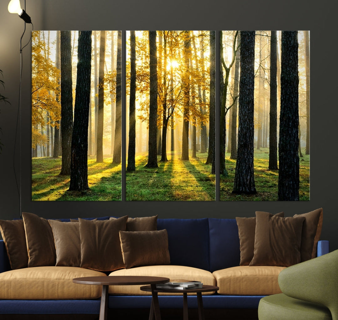 Bring the Sunshine & Beauty of a Forest with Large Trees to Your Home with Our Landscape Wall Art Canvas Print