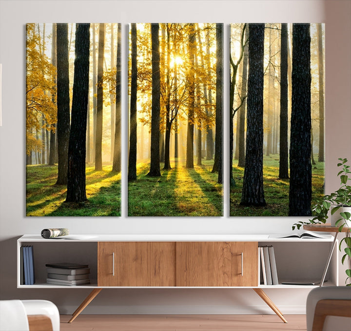 Bring the Sunshine & Beauty of a Forest with Large Trees to Your Home with Our Landscape Wall Art Canvas Print