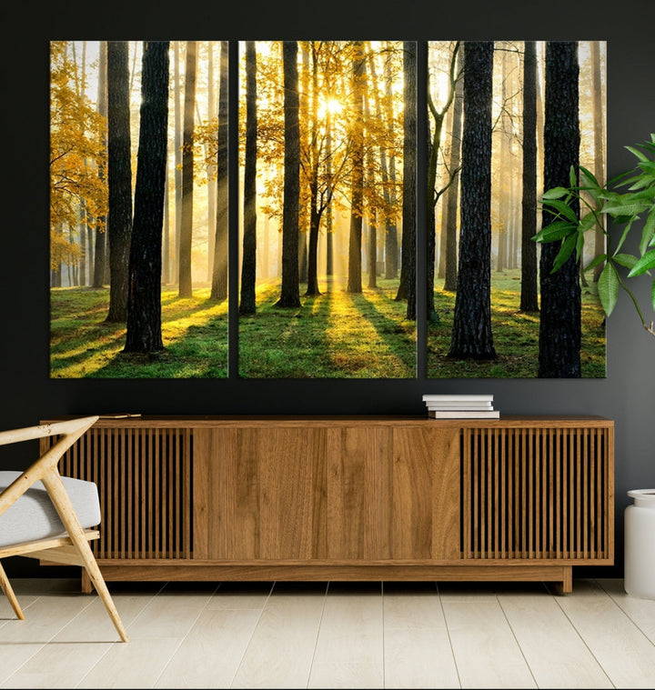 Bring the Sunshine & Beauty of a Forest with Large Trees to Your Home with Our Landscape Wall Art Canvas Print