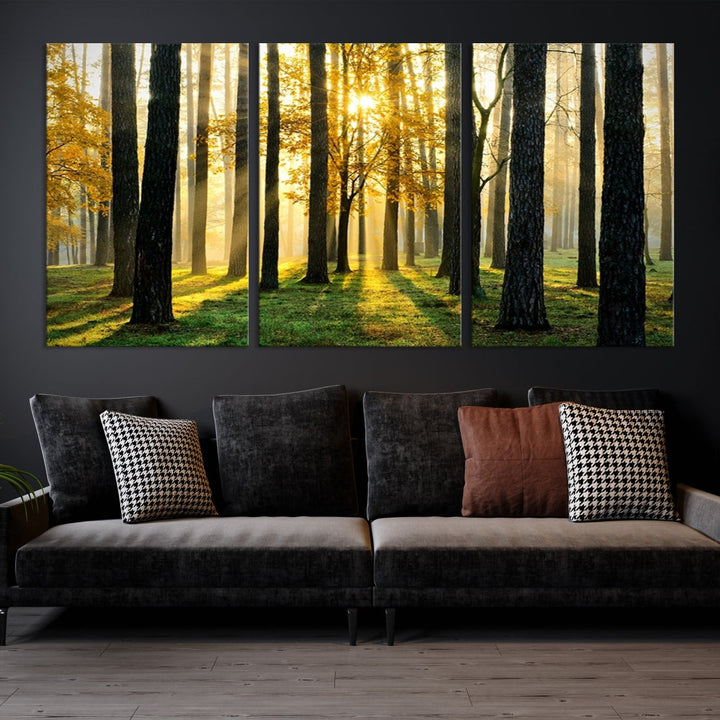 Bring the Sunshine & Beauty of a Forest with Large Trees to Your Home with Our Landscape Wall Art Canvas Print