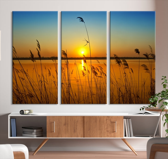 Sunset Behind the Flowers Canvas Print