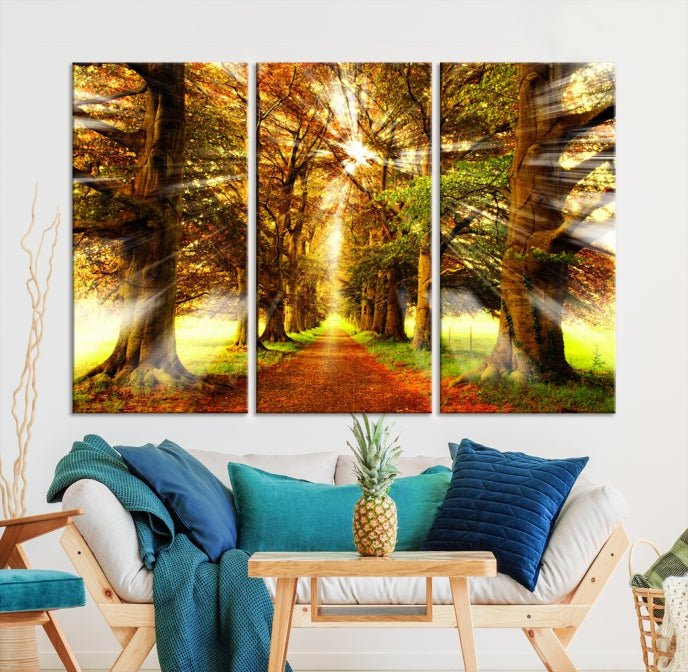 Sunshine in Forest and Trees Large Canvas Wall Art Giclee Print