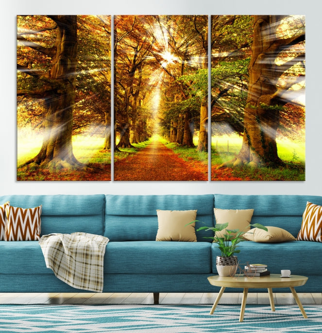 Sunshine in Forest and Trees Large Canvas Wall Art Giclee Print