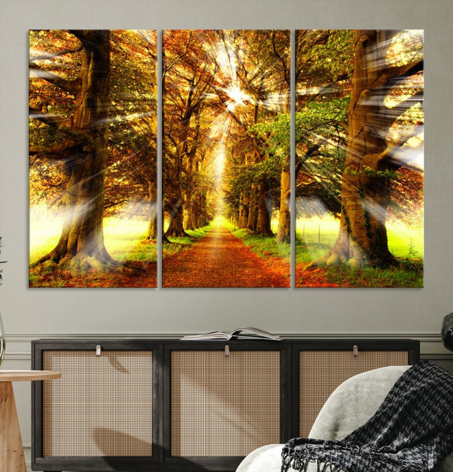 Sunshine in Forest and Trees Large Canvas Wall Art Giclee Print