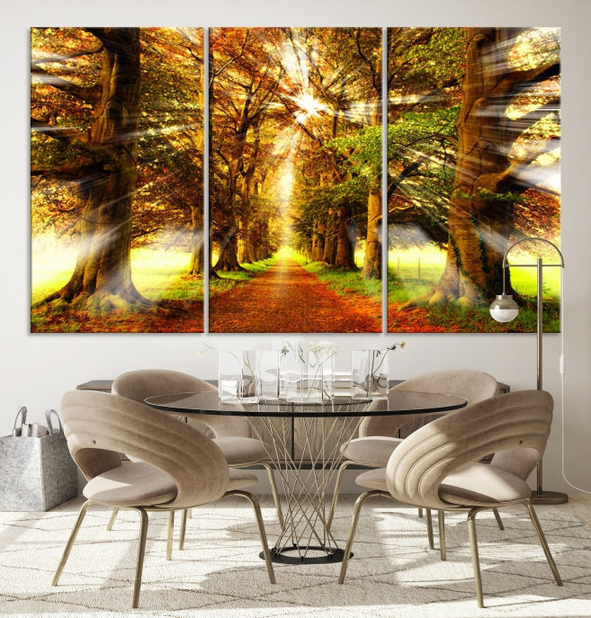 Sunshine in Forest and Trees Large Canvas Wall Art Giclee Print