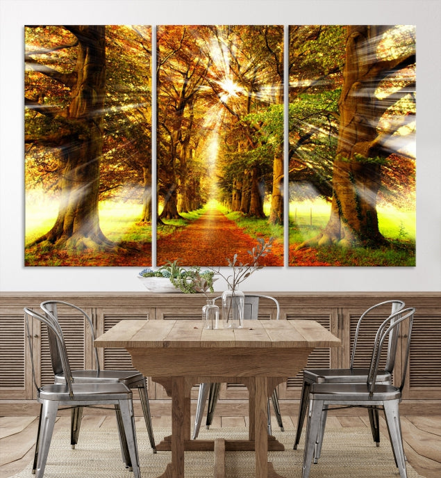 Sunshine in Forest and Trees Large Canvas Wall Art Giclee Print