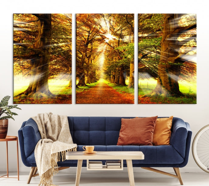 Sunshine in Forest and Trees Large Canvas Wall Art Giclee Print