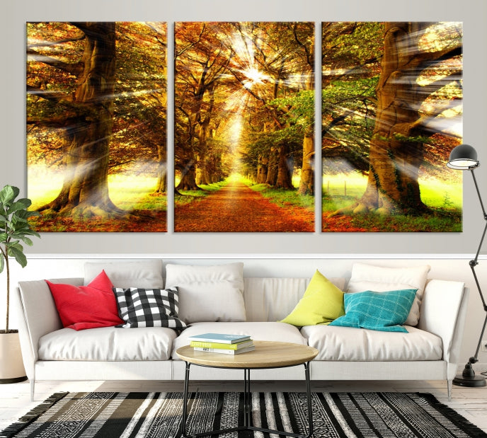 Sunshine in Forest and Trees Large Canvas Wall Art Giclee Print