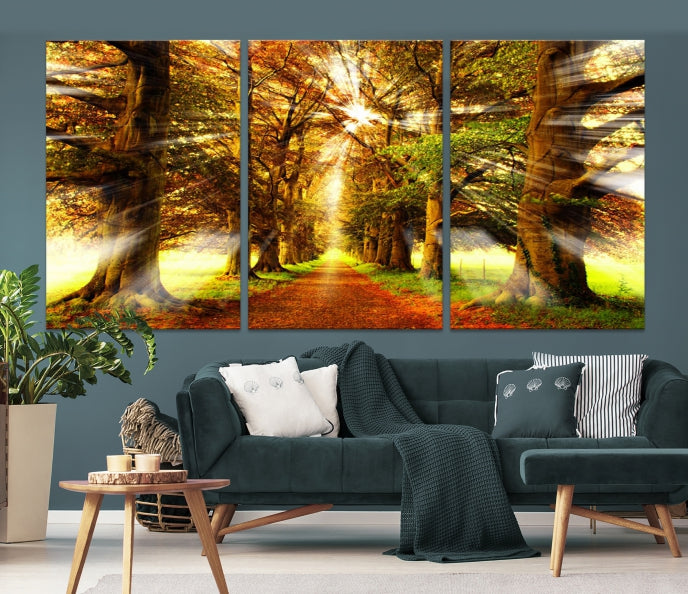 Sunshine in Forest and Trees Large Canvas Wall Art Giclee Print