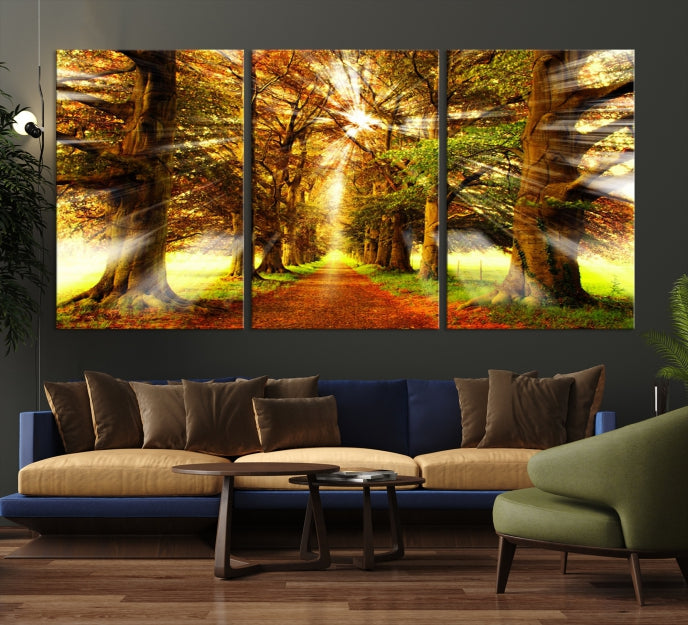 Sunshine in Forest and Trees Large Canvas Wall Art Giclee Print