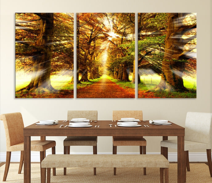 Sunshine in Forest and Trees Large Canvas Wall Art Giclee Print