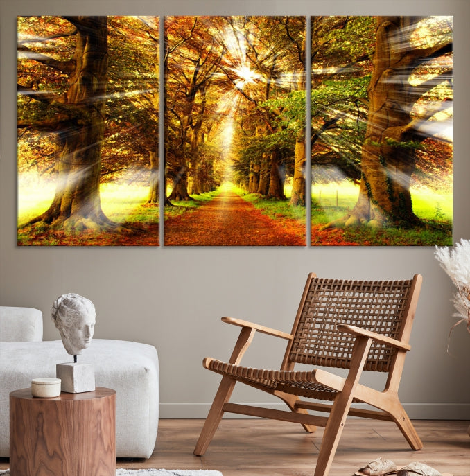 Sunshine in Forest and Trees Large Canvas Wall Art Giclee Print