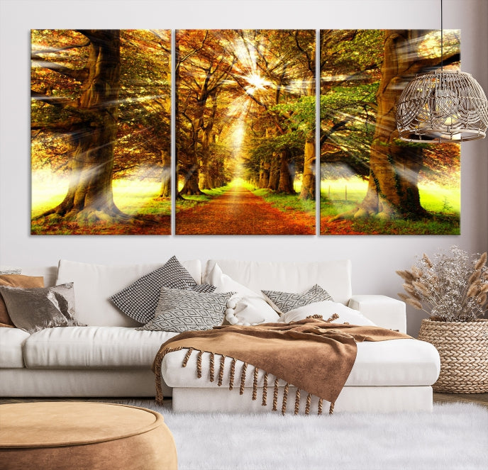 Sunshine in Forest and Trees Large Canvas Wall Art Giclee Print