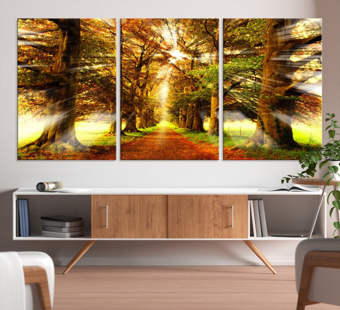 Sunshine in Forest and Trees Large Canvas Wall Art Giclee Print