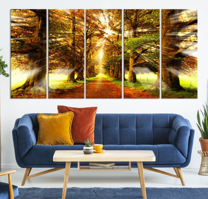 Sunshine in Forest and Trees Large Canvas Wall Art Giclee Print