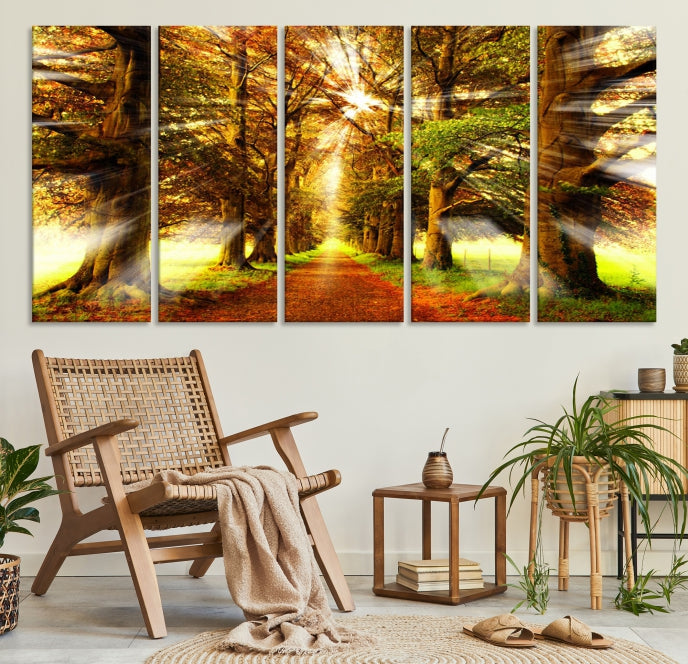 Sunshine in Forest and Trees Large Canvas Wall Art Giclee Print