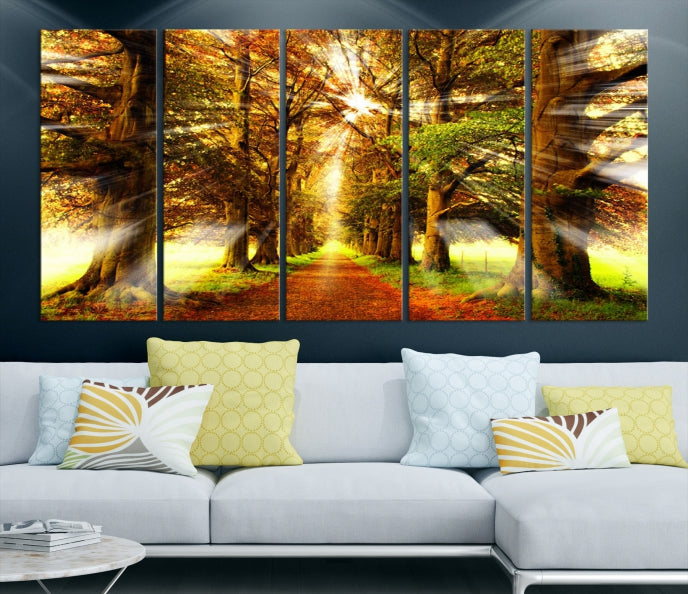 Sunshine in Forest and Trees Large Canvas Wall Art Giclee Print