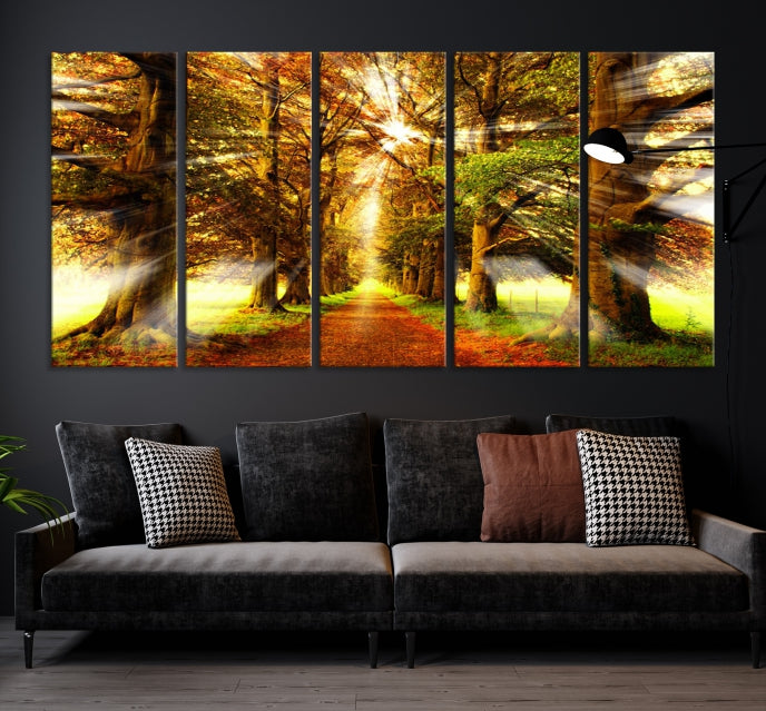 Sunshine in Forest and Trees Large Canvas Wall Art Giclee Print