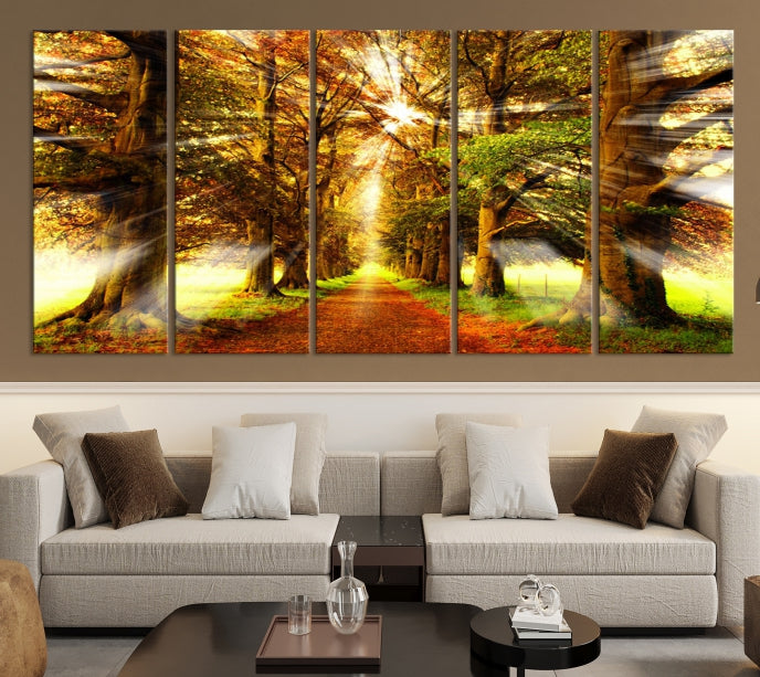 Sunshine in Forest and Trees Large Canvas Wall Art Giclee Print