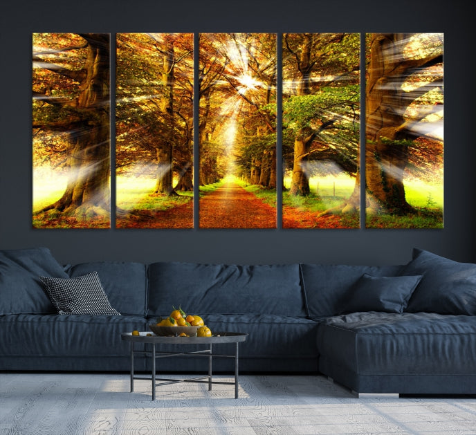 Sunshine in Forest and Trees Large Canvas Wall Art Giclee Print