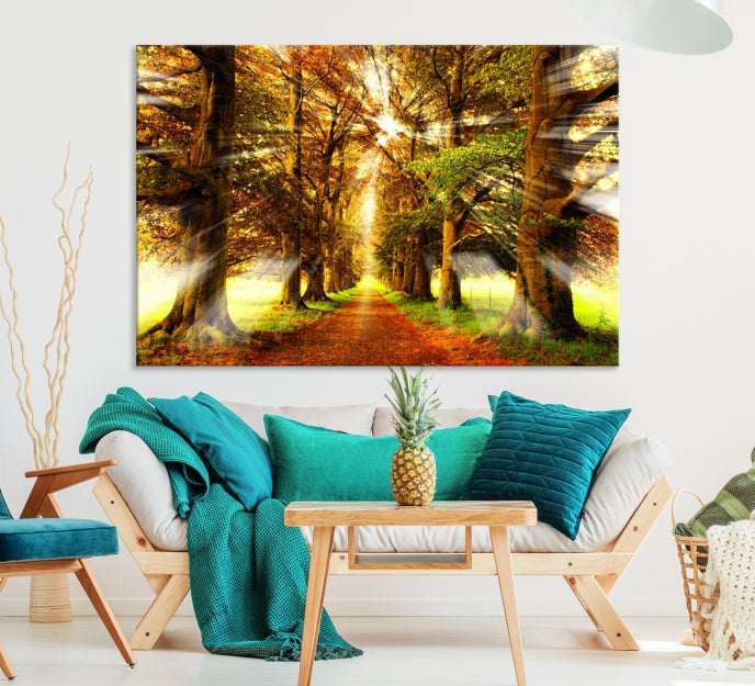 Sunshine in Forest and Trees Large Canvas Wall Art Giclee Print