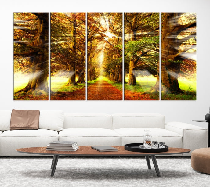 Sunshine in Forest and Trees Large Canvas Wall Art Giclee Print