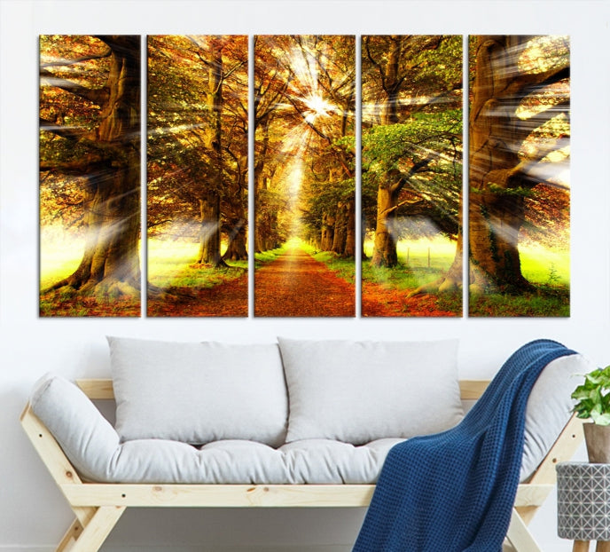 Sunshine in Forest and Trees Large Canvas Wall Art Giclee Print