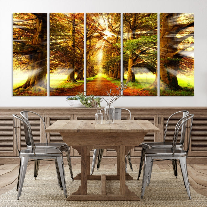 Sunshine in Forest and Trees Large Canvas Wall Art Giclee Print