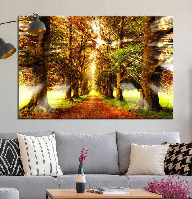 Sunshine in Forest and Trees Large Canvas Wall Art Giclee Print