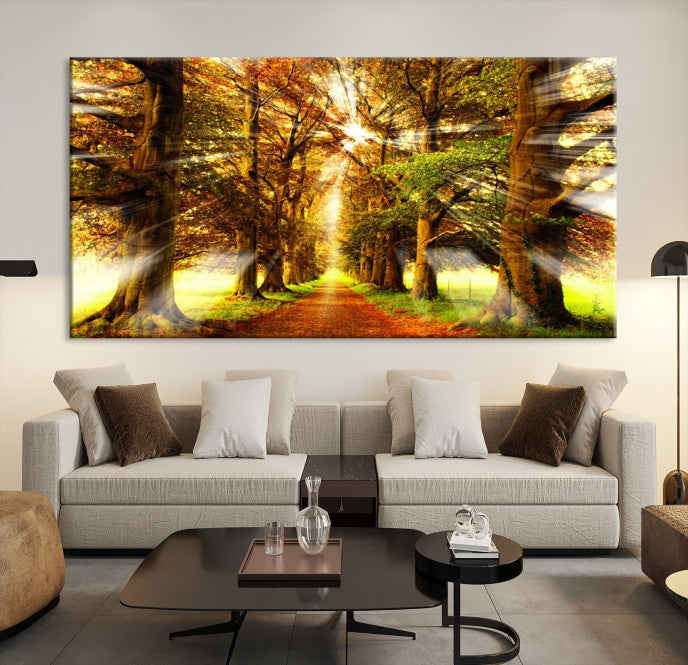 Sunshine in Forest and Trees Large Canvas Wall Art Giclee Print