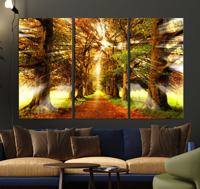 Sunshine in Forest and Trees Large Canvas Wall Art Giclee Print