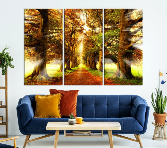 Sunshine in Forest and Trees Large Canvas Wall Art Giclee Print