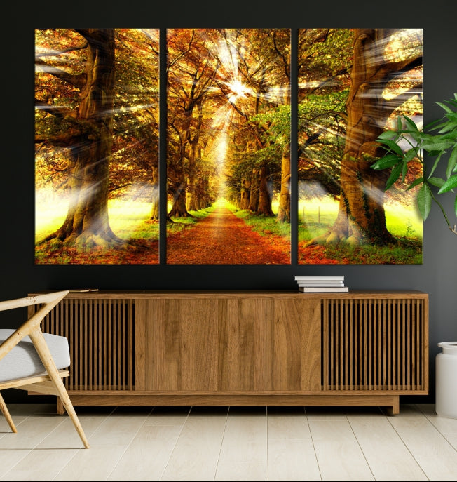 Sunshine in Forest and Trees Large Canvas Wall Art Giclee Print