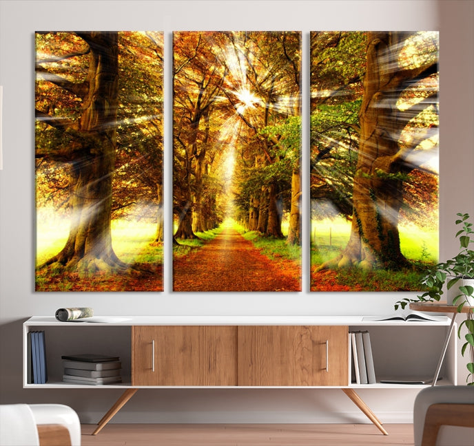 Sunshine in Forest and Trees Large Canvas Wall Art Giclee Print