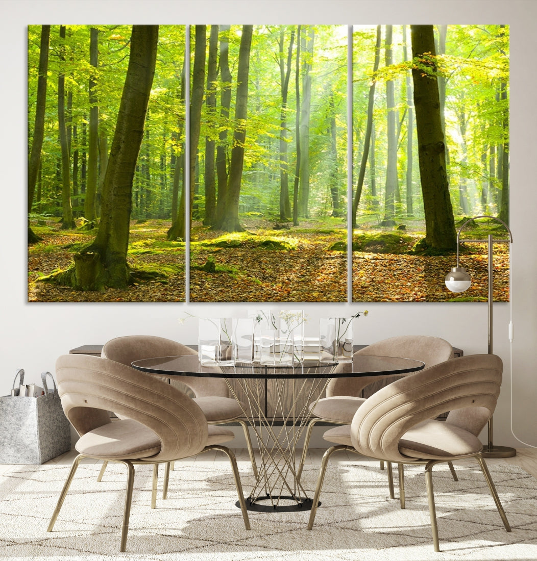 Sunshine in Green Forest Large Tree Wall Art Landscape Canvas Print