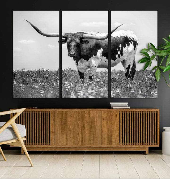 Texas Black White Highland Longhorn Cow Wall Art Canvas Print