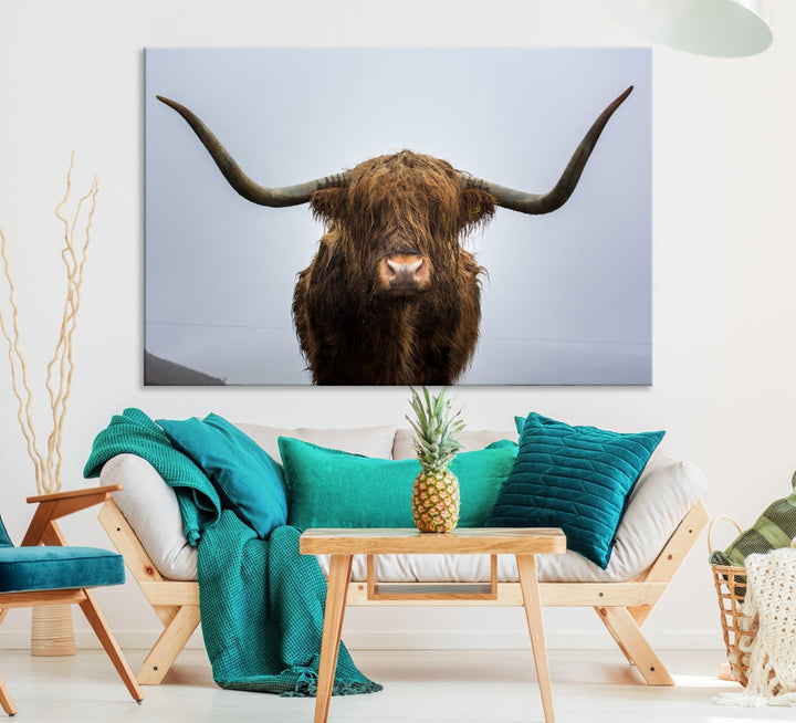 Texas Cow Big Horn Wall Art Canvas