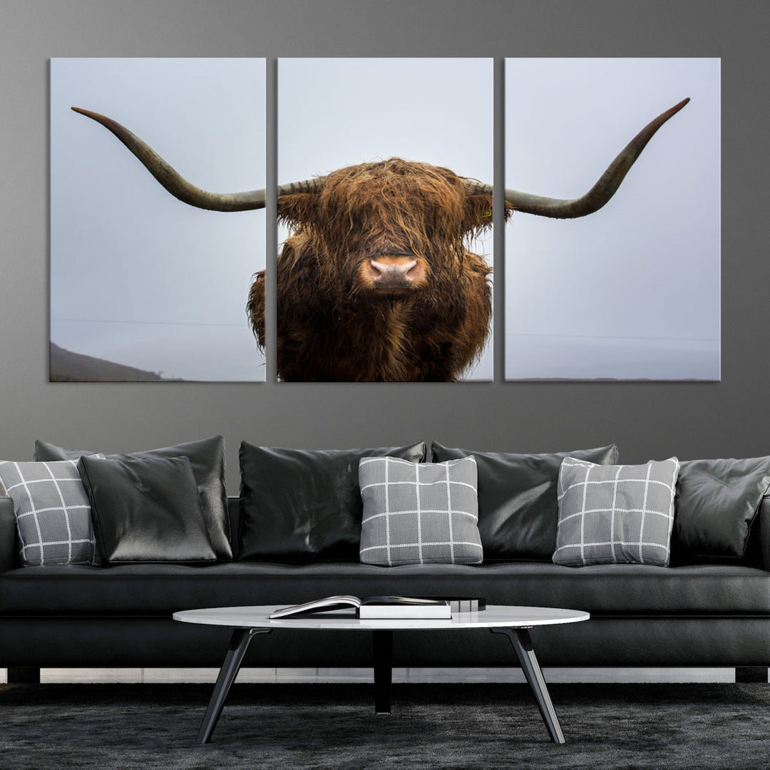 Texas Cow Big Horn Wall Art Canvas