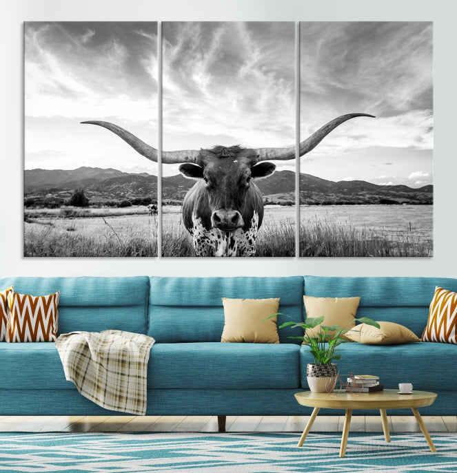 Big Horn of Cow Wall Art Canvas Print