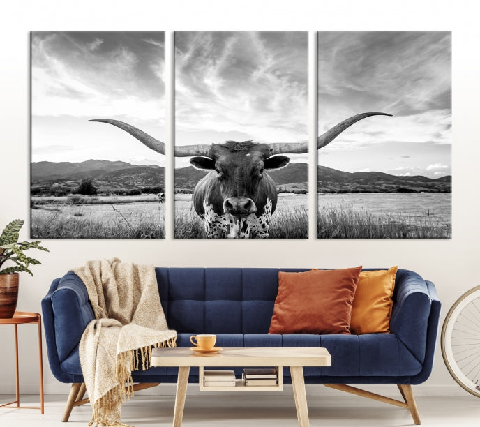 Big Horn of Cow Wall Art Canvas Print