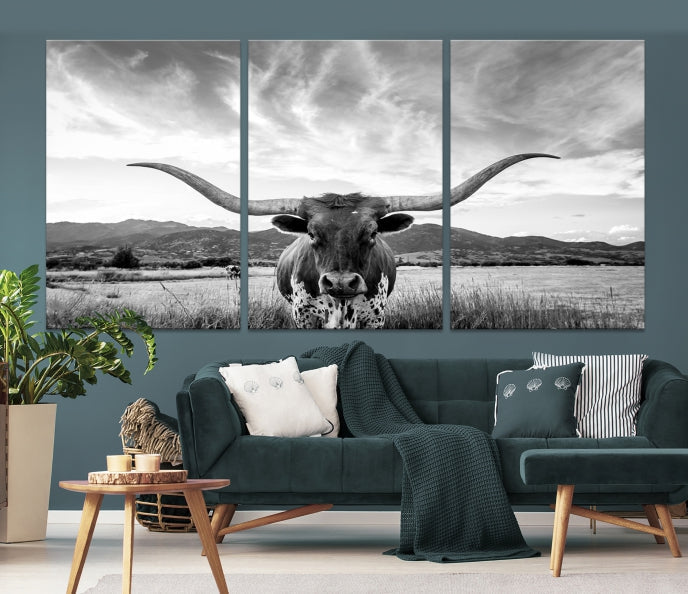 Big Horn of Cow Wall Art Canvas Print