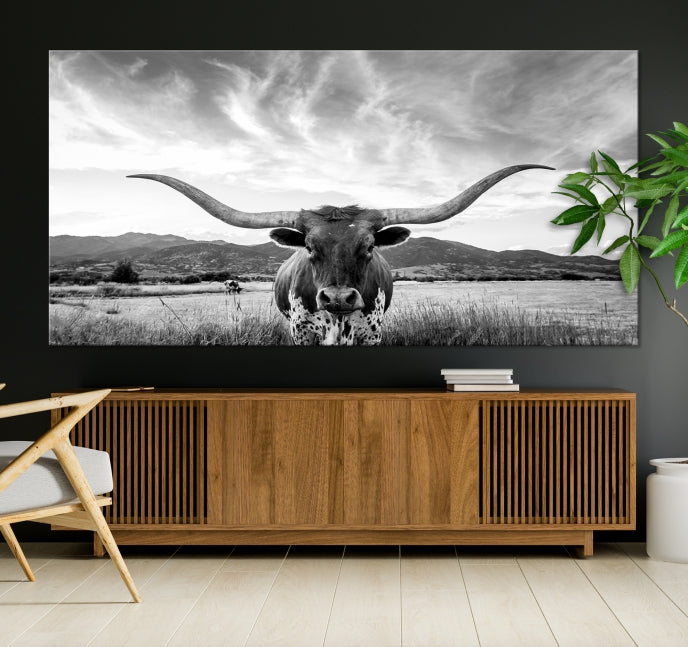 Big Horn of Cow Wall Art Canvas Print