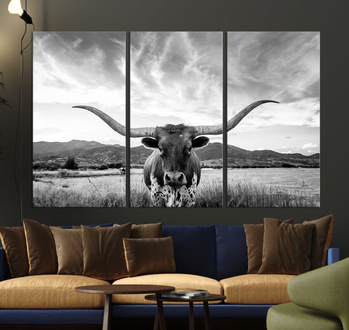 Big Horn of Cow Wall Art Canvas Print